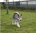 Besuch Tazanna und Pan 360